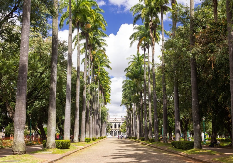 Um Guia Completo para Explorar a Capital Mineira